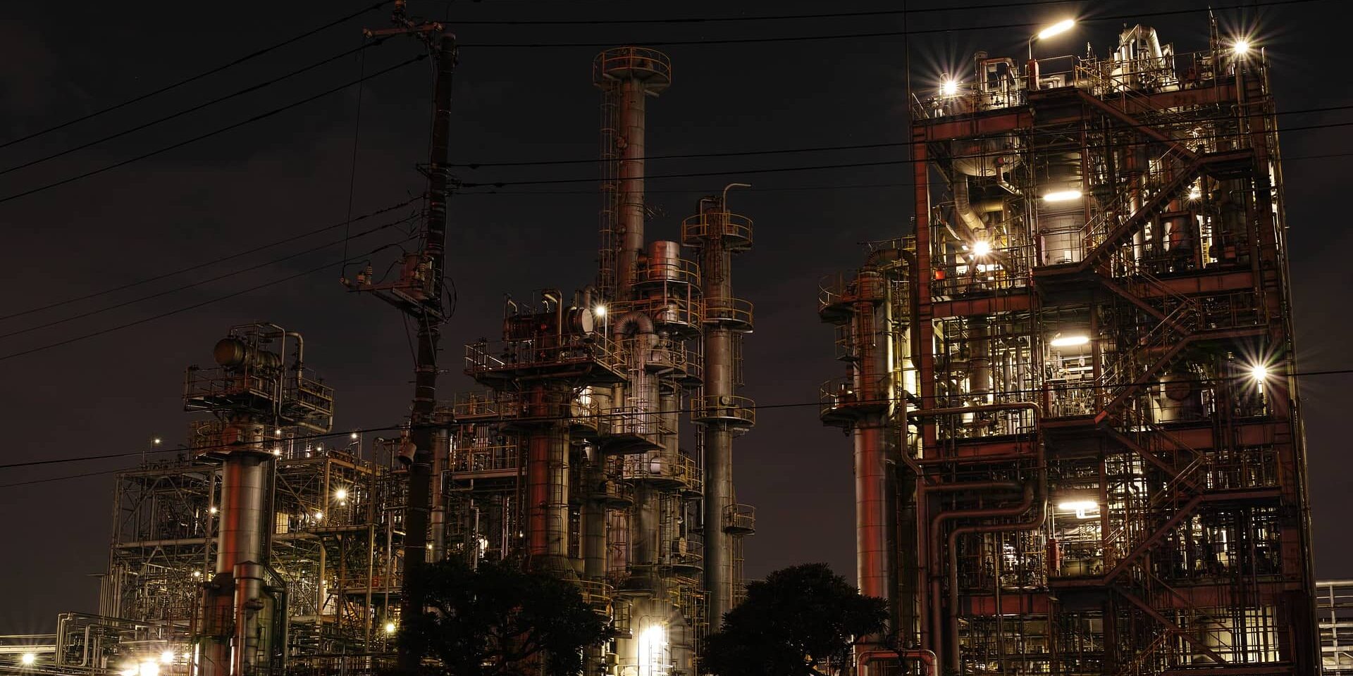 plant-gab4f56346_1920